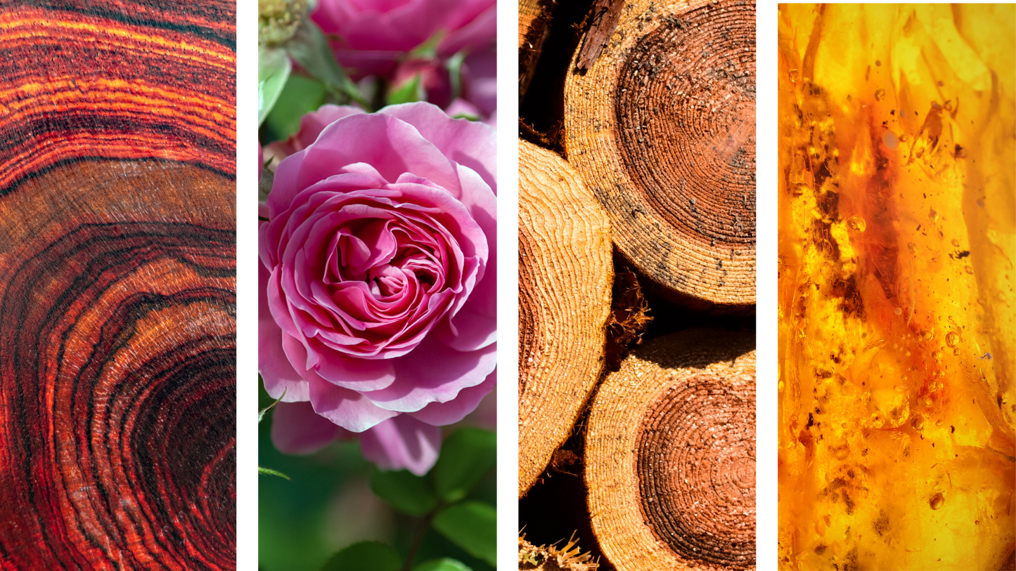 الإسكندرية الثاني