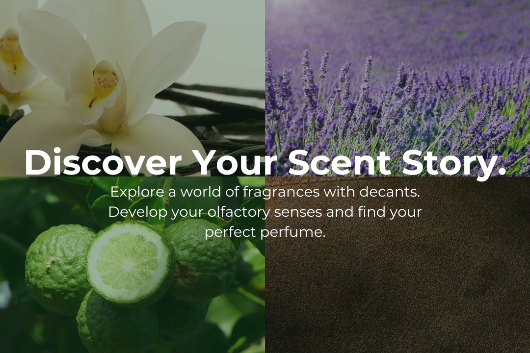 Beginner’s Guide to Perfumes and Starting a Fragrance Collection